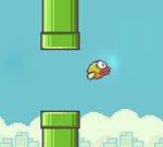 Flappy Play